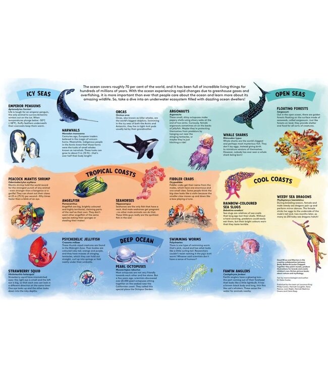 Into the Deep Sharing Puzzle