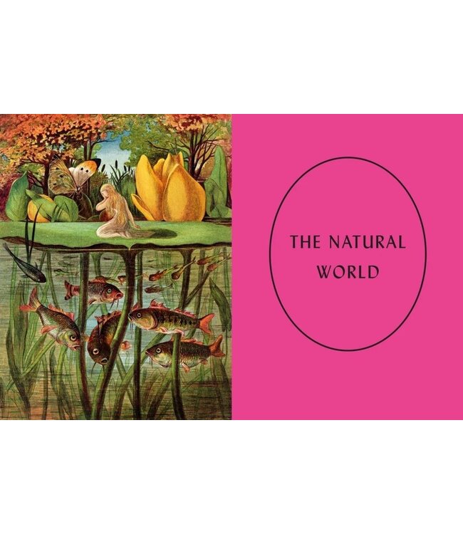 The Art of Fairy Tales