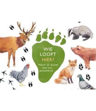 Marcel George Wie Loopt Hier?