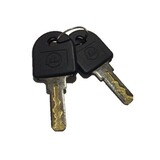 GDW Sleutel GDW T60, slotcode 201