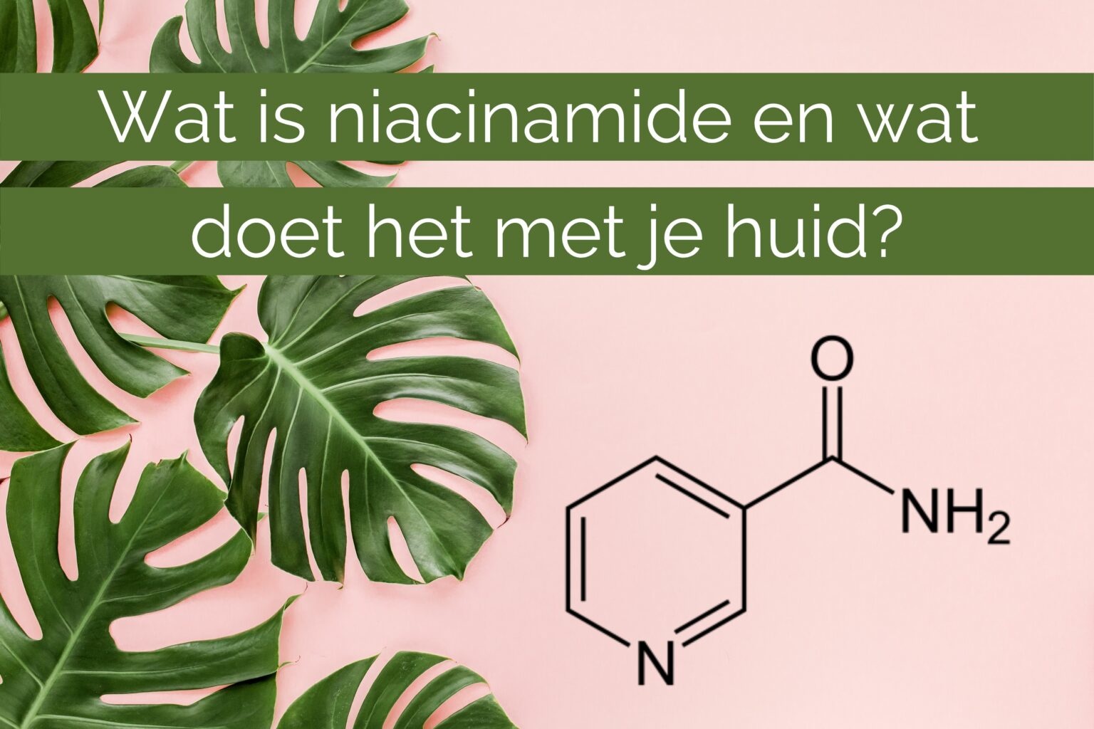 Wat is niacinamide en wat doet dit voor je huid? Wat is niacinamide en wat doet dit voor je huid?