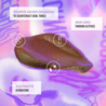 Bondi Sands Bondi Sands Self Tanning Foam Technocolor 1 Hour Express Magenta Bondi Sands Bondi Sands Self Tanning Foam Technocolor 1 Hour Express Magenta