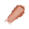 Wet n Wild Wet n Wild Color Icon Blush Naked Brown Wet n Wild Wet n Wild Color Icon Blush Naked Brown