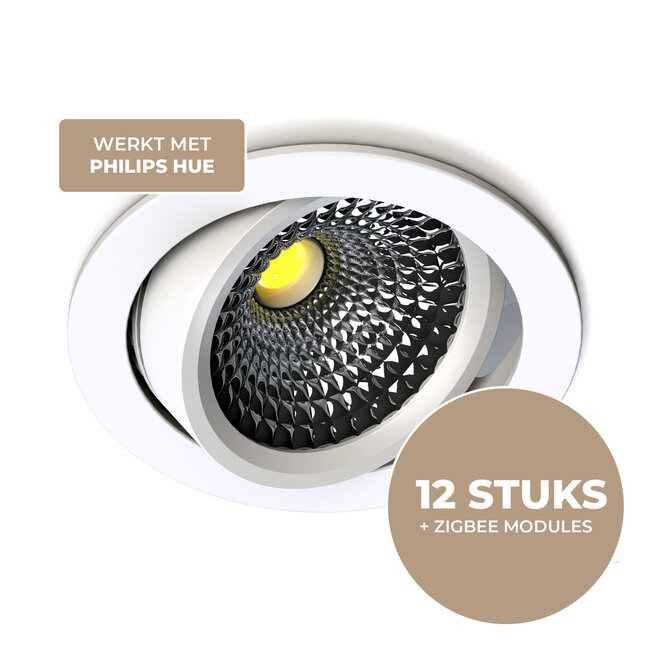 PremiumLED Star Ultra Flat Rond Wit 2700K - 12 Stuks (Philips Hue Compatible)