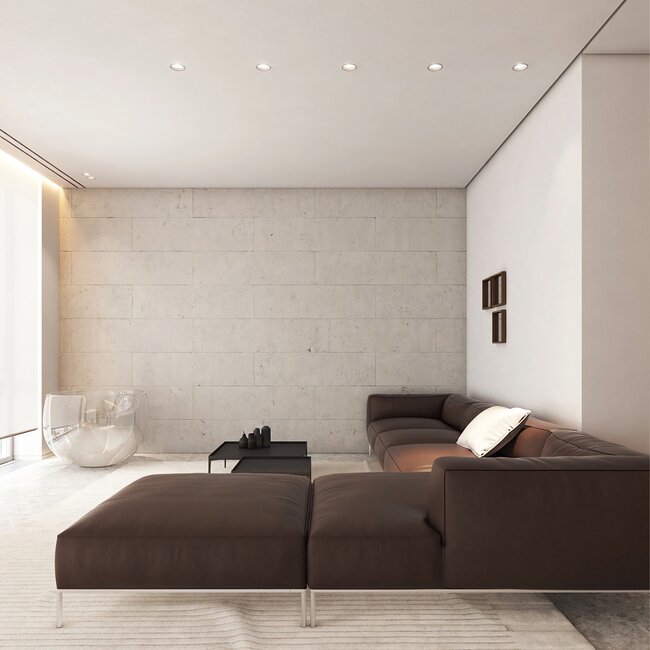 PremiumLED PREMIUM LED Module Dim to Warm