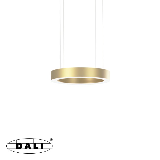 PremiumLED OVAL-S Rond Champagne Goud Dim naar Warm (DALI)