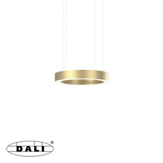 PremiumLED OVAL-S Round Champagne Gold Dim to Warm (DALI)