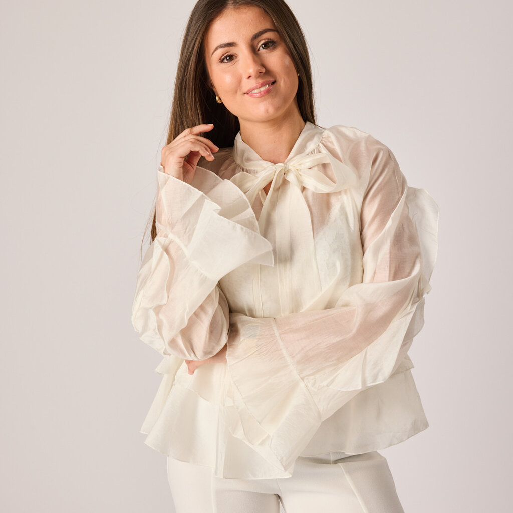 Shirley shiny blouse