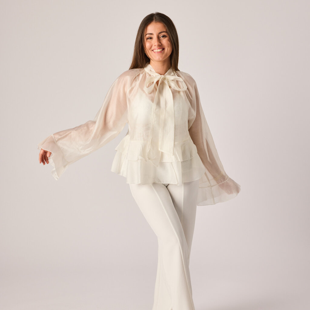 Shirley shiny blouse