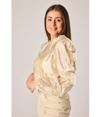 Jasy shiny blouse