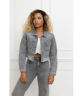 FW25 FOLYROSE MP2236