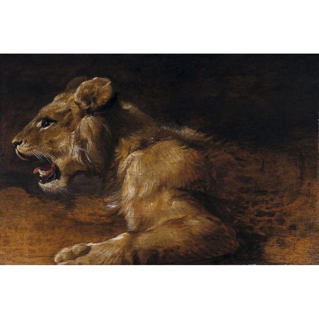 Het Grote Oude Meester Dierenboek