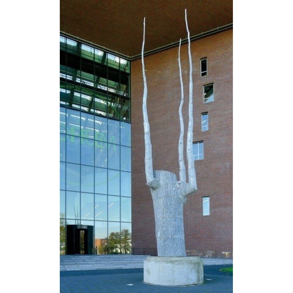De Bomen van Buisman - Sjoerd Buisman