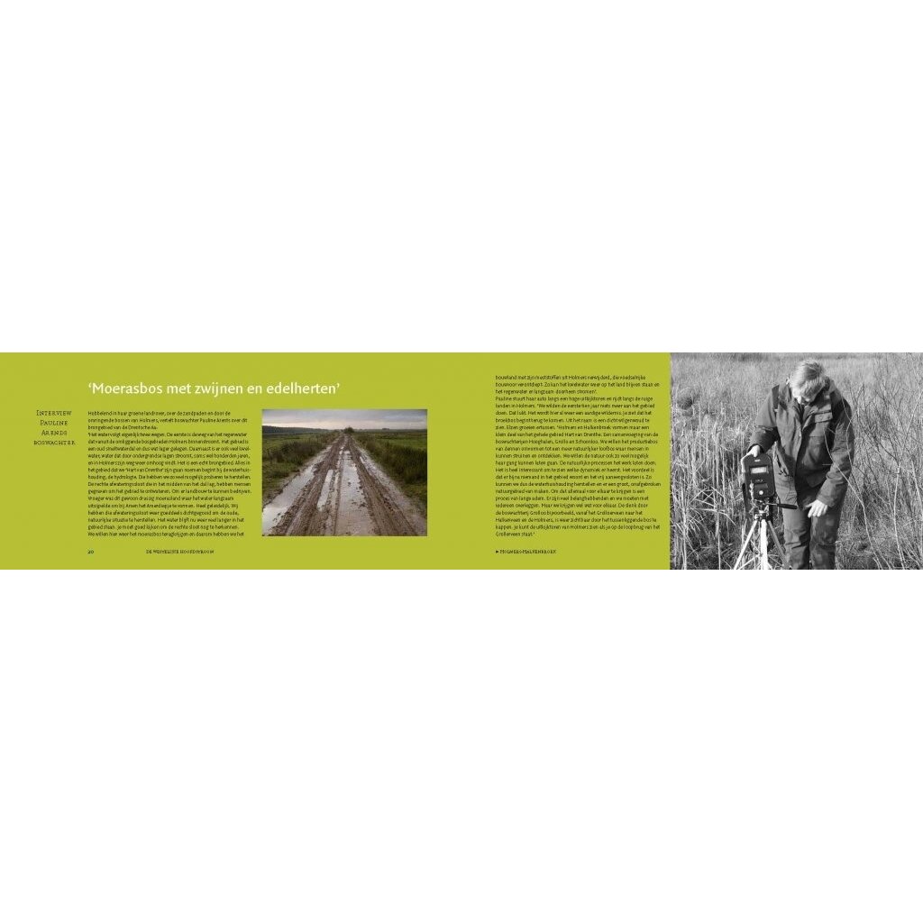De Drentsche Aa - Portret van een monumentaal landschap
