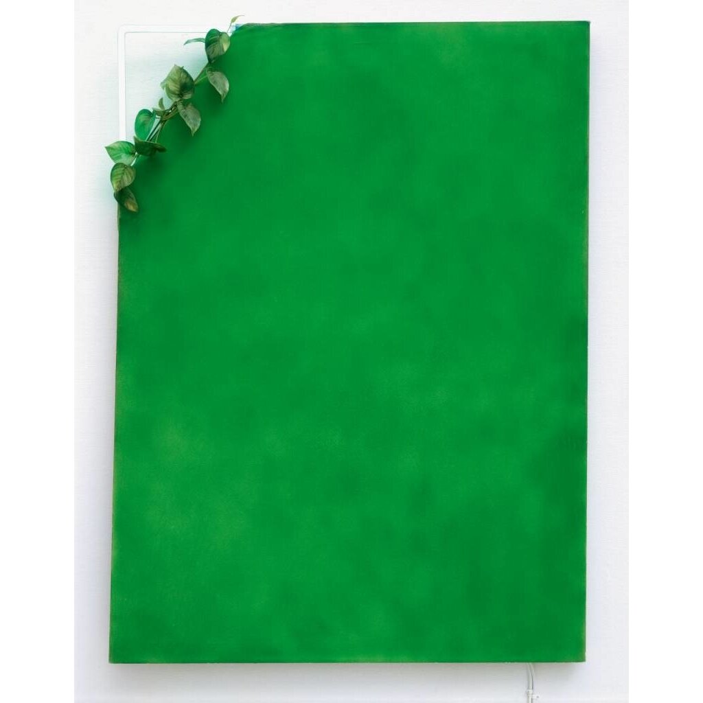 Blauw Groen - Verf, het gezicht van de kunst