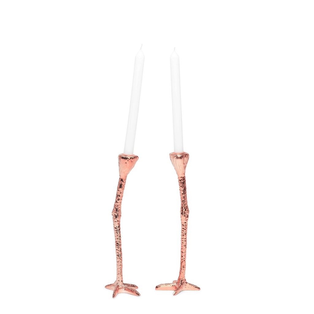 Long Legs