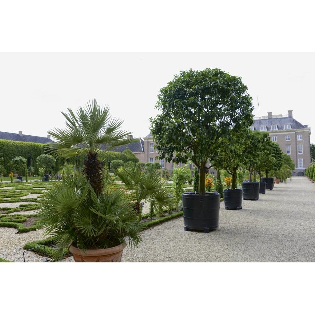 Tuinen van Paleis Het Loo. Traditie en vakmanschap