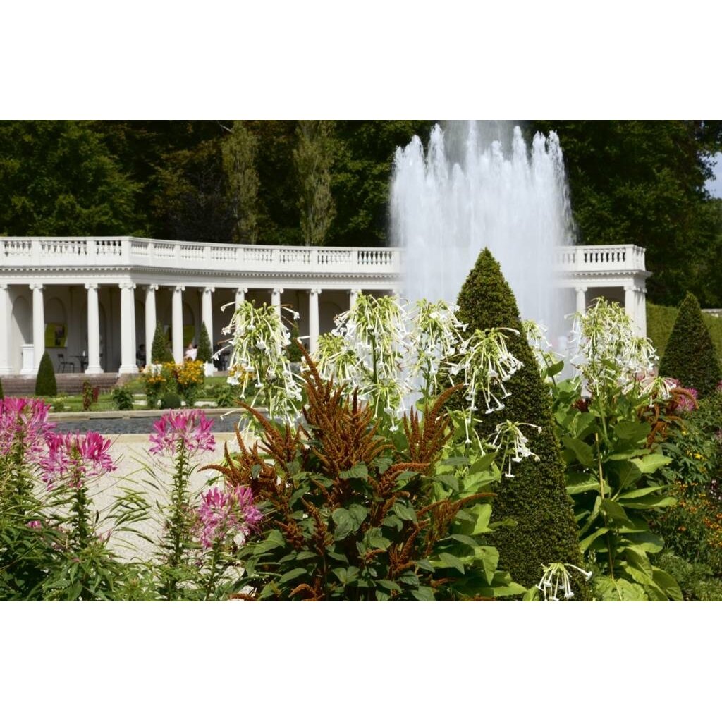 Tuinen van Paleis Het Loo. Traditie en vakmanschap