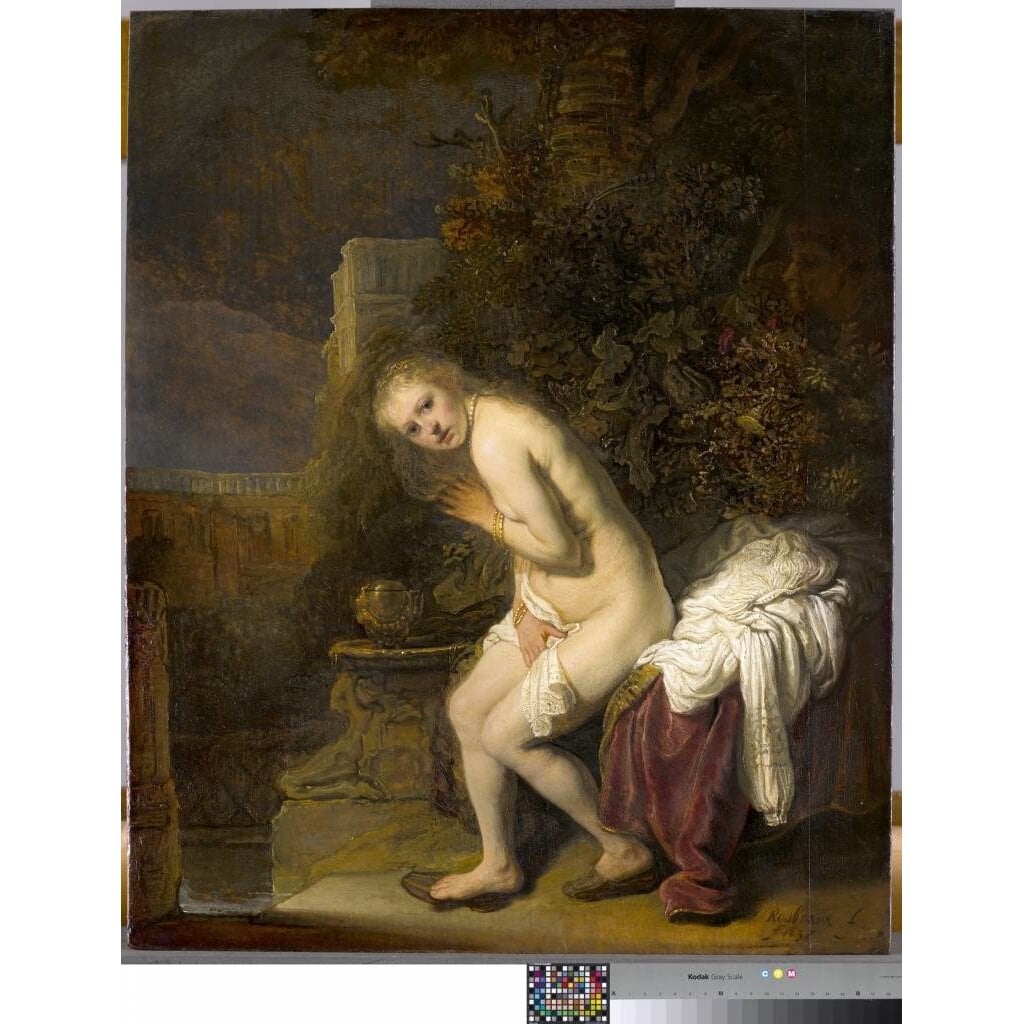 Rembrandt en het Mauritshuis