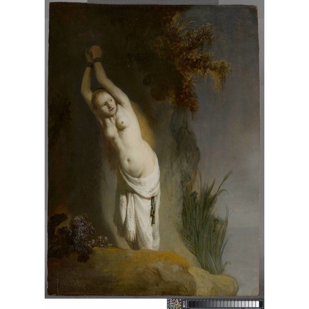 Rembrandt and the Mauritshuis
