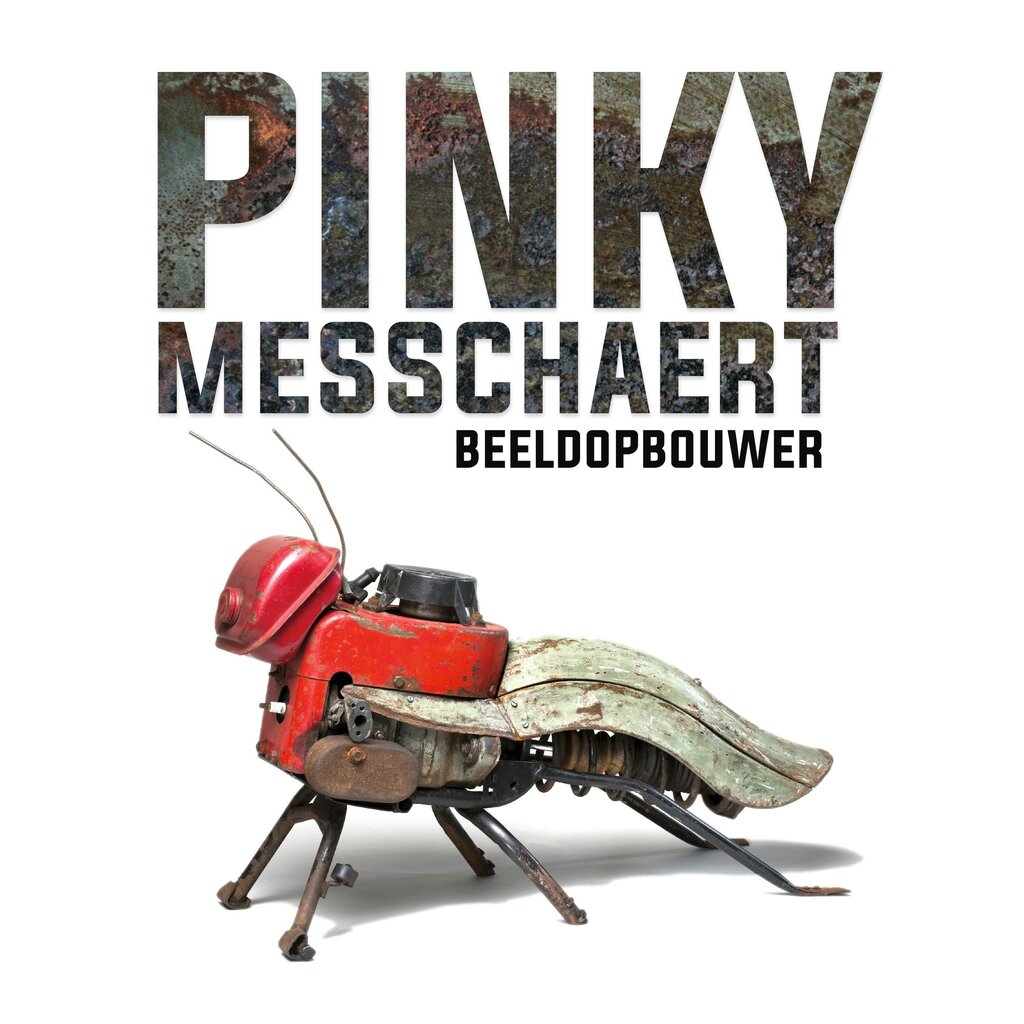 Pinky Messchaert - beeldopbouwer
