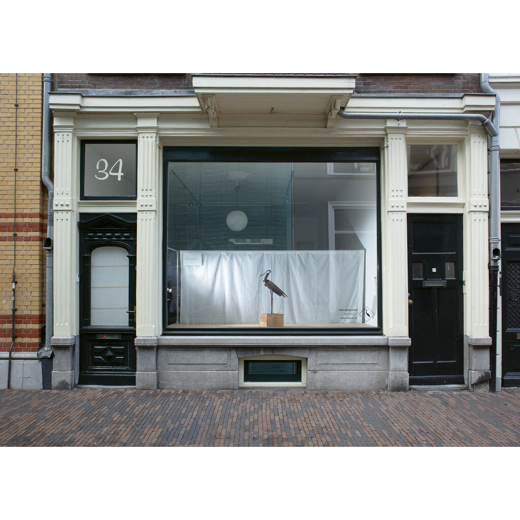Pinky Messchaert - beeldopbouwer
