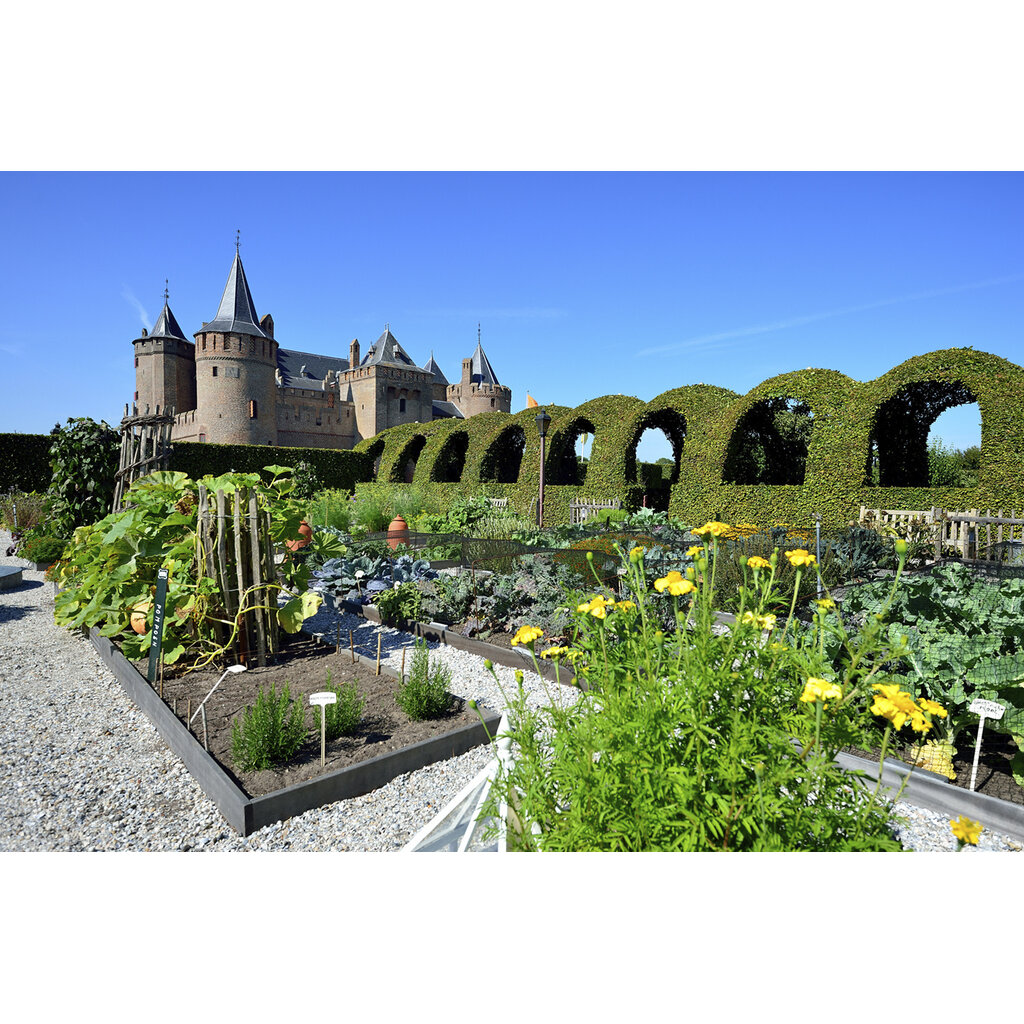 Amsterdam Castle Muiderslot