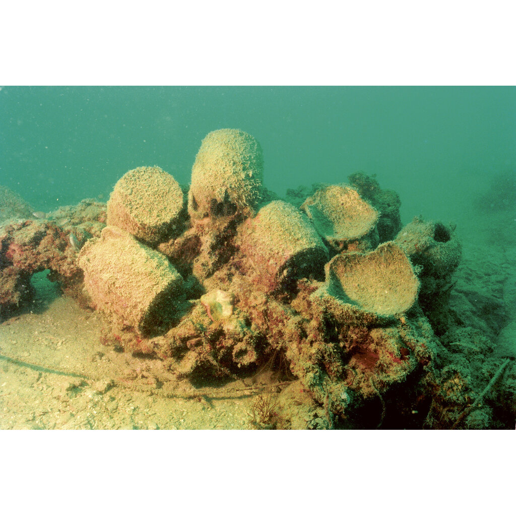 Gezonken Schatten - Sunken Treasures