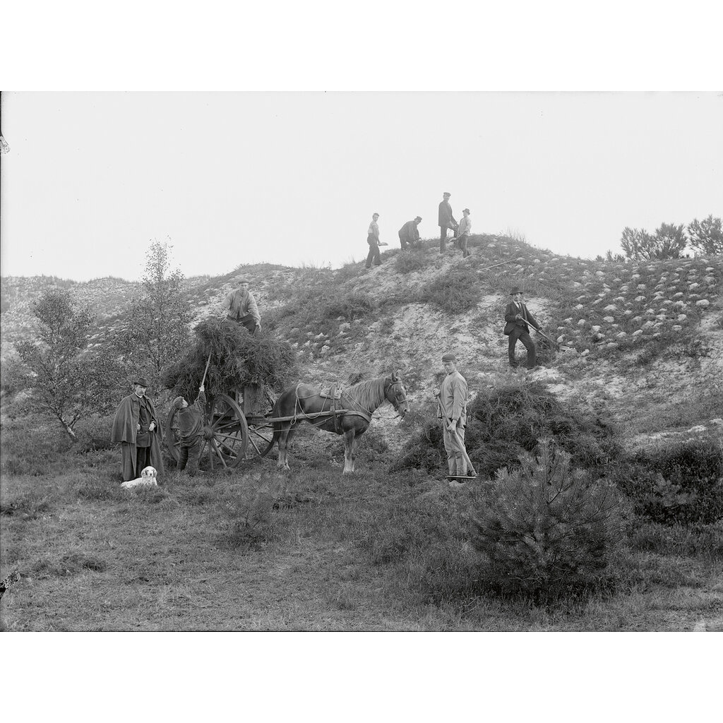 120 Jaar Staatsbosbeheer