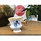  De Robocup (per set van 2)