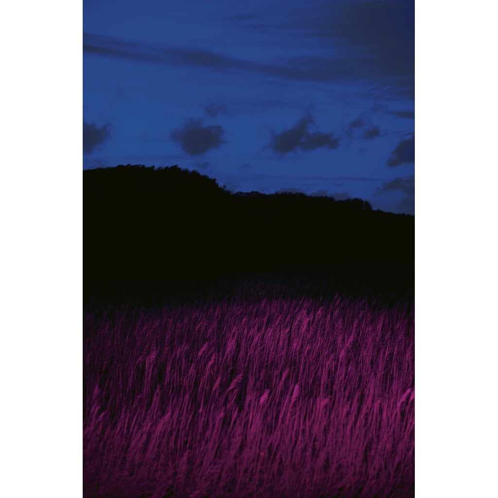 Insomnia