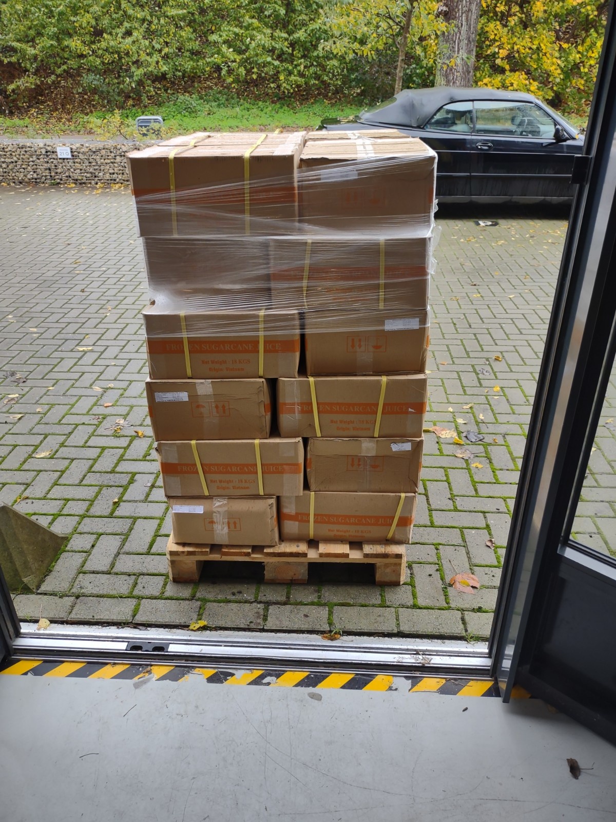 Pallet with boxes of frozen sugar cane juice