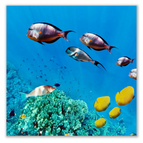 Eigen ontwerp wandpaneel 600 watt 119,2 x 59,2 cm