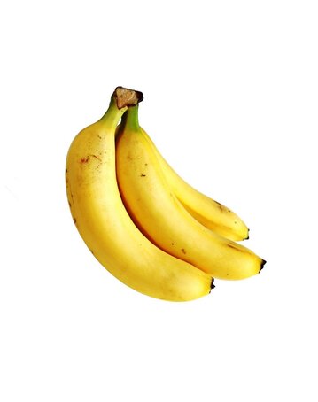 natural food Natural Butternut Pumpkin