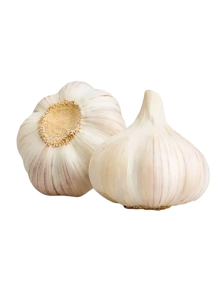 organic Fresh Organics Snow Mountain Garlic