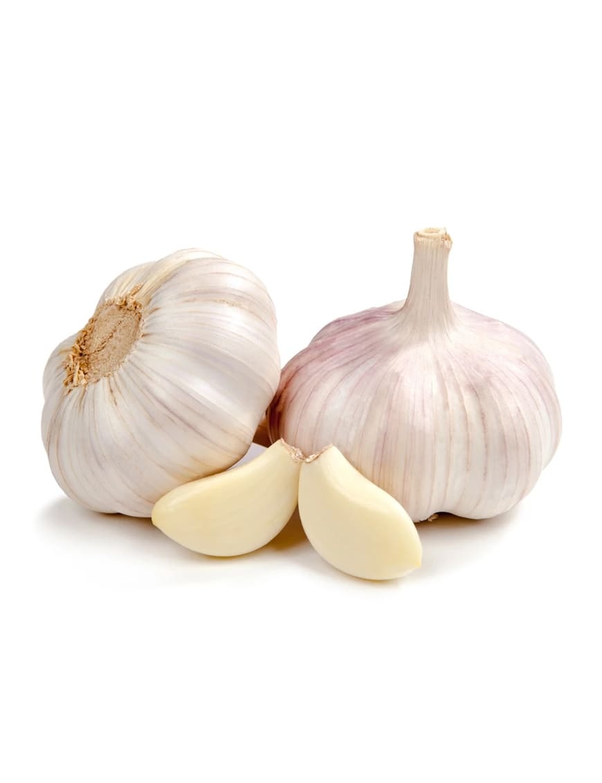 organic Fresh Organics Snow Mountain Garlic