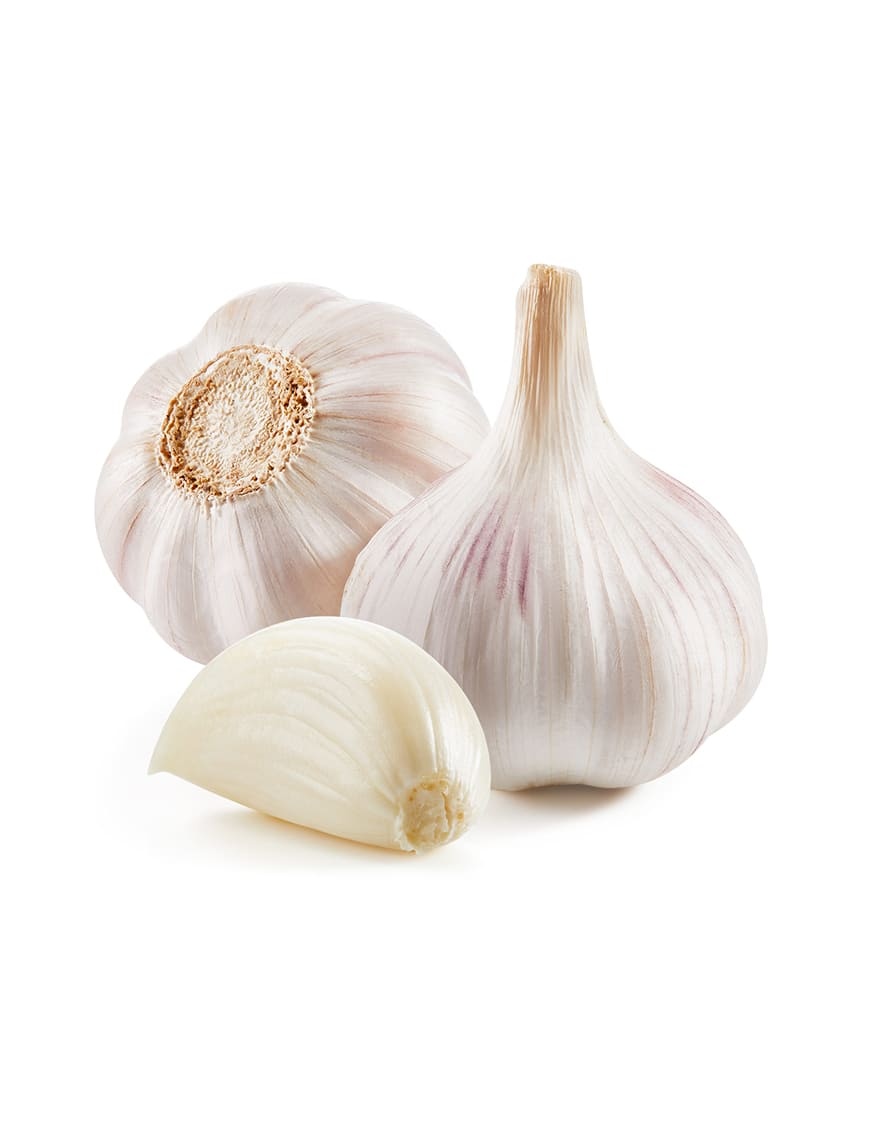 organic Fresh Organics Snow Mountain Garlic