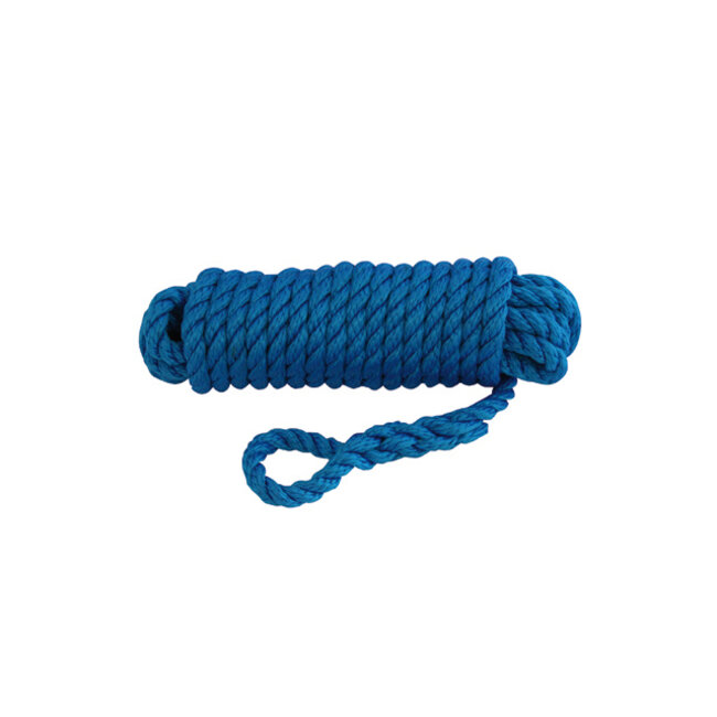Talamex Fenderlijn polypropyleen 10mm 2.5m blauw