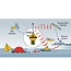 Ocean Signal Ocean Signal RescueMe EPIRB1