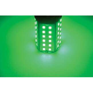 Talamex Ledlamp led60 10-30V BAY15D green