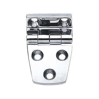 Talamex Scharnier rvs 54x38mm