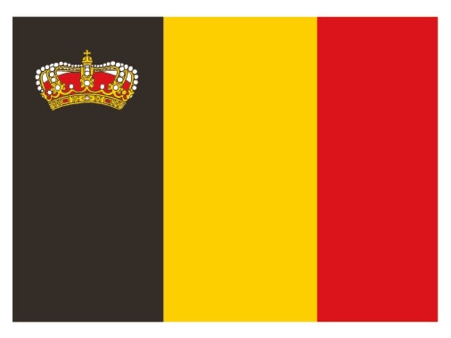 Talamex Belgische vlag met Kroon