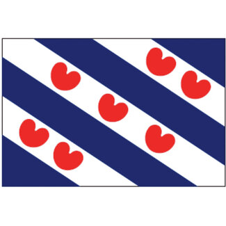 Talamex Friese vlag