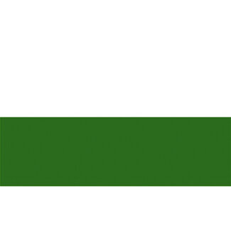 Talamex Sachsen Vlag 20x30 30x45 40x60