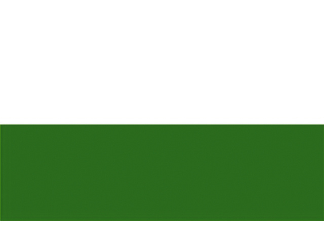 Talamex Sachsen Vlag 20x30 30x45 40x60