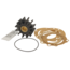Johnson Pump  Impeller replacement kit