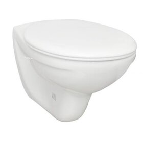 Rheinstrom Rheinstrom Closetpot Y12W