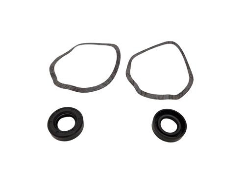Rheinstrom Rheinstrom Reparatieset tbv F/FS370 pomp