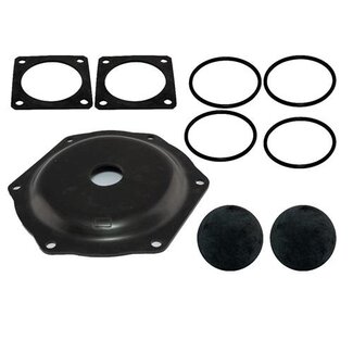 Rheinstrom Rheinstrom Reparatieset Standard tbv M60K