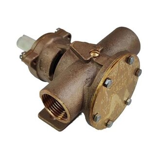 Jabsco Jabsco PUMP BRZ PED 080 BSP NEO